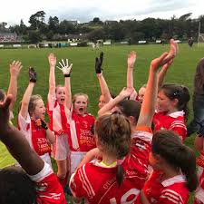 Image result for O`donovan Rossa Gfc