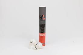 Image result for Feathers (New Milton) Badminton Club