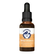 Attēlu rezultāti vaicājumam “Urtica urens”