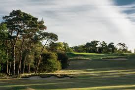 Image result for Laleham Golf Club