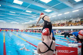 Image result for Morpeth Amateur Swimming Club