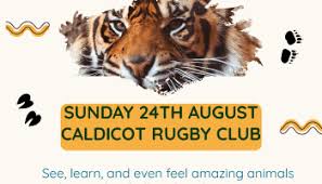 Image result for Caldicot Junior  & Mini Rugby Club