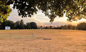 Image result for Sonning Cricket Club