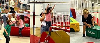 Image result for Europa Gymnastics Club, Bexley