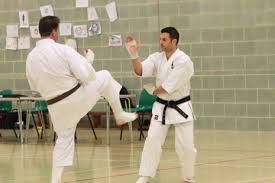 Image result for Kenshukai Karate