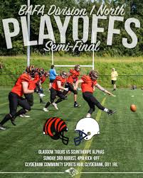 Image result for Glasgow Tigers Flag Football