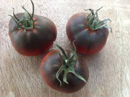 Afbeeldingsresultaat voor black sea man tomato