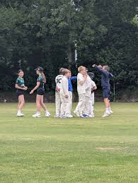 Image result for Chard Cricket Club