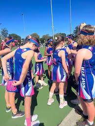 Image result for Blue Jays Netball Club