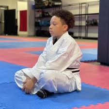 Image result for Martial Arts University Charlotte