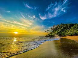 Image result for goa beaches