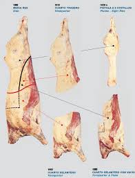 Image result for media res