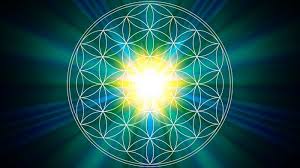 Image result for life flower