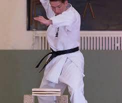 Image result for Seiki Juku Karate Organisation