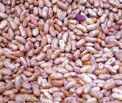 Attēlu rezultāti vaicājumam “Leguminosae”