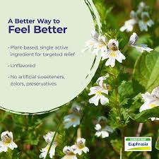 Attēlu rezultāti vaicājumam “Euphrasia”