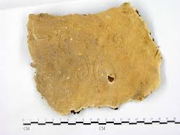 Attēlu rezultāti vaicājumam “Heterobasidion parviporum”