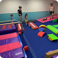 Image result for Gym Tots