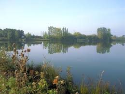 Image result for Grendon Lakes, Northants