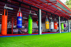 Image result for S J T B Thai Boxing Gym