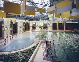 Image result for Kingsbridge Kingfishers Swimming Club