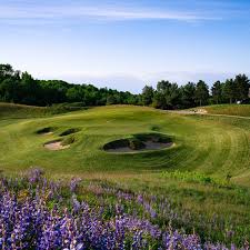 Image result for Kingsley Cricket Club