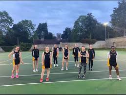 Image result for Beeches Netball Club