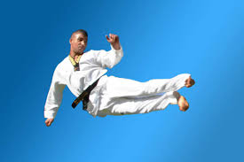 Image result for Mickleham Seiki Juku Karate Club