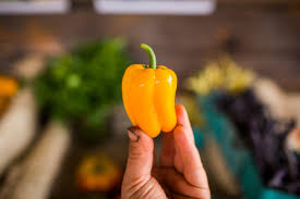 Afbeeldingsresultaat voor baby yellow sweet pepper