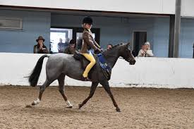 Image result for Stoneleigh Riding Club