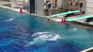 Image result for 243 Diving Club