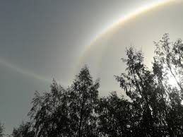 Kuvahaun tulos haulle haloilmi