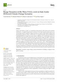 Attēlu rezultāti vaicājumam “Pohlia cruda sporophyte”