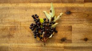 Attēlu rezultāti vaicājumam “Jasione montana fruit”