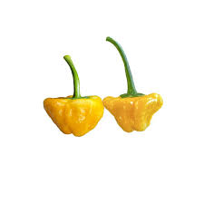 Afbeeldingsresultaat voor yellow mushroom hot pepper