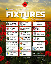 Image result for Grange Park FC