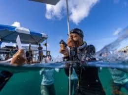 Image result for DeeperBlue.net Tribe (South London)