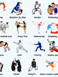 Image result for Shotokan Karate