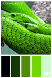 Znalezione obrazy dla zapytania green