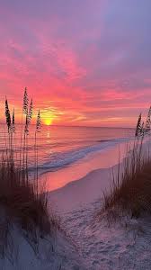 Image result for sunset