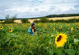 Image result for North Oxfordshire Mac