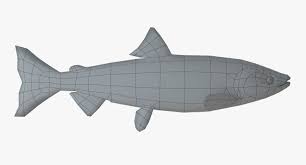 Image result for Oncorhynchus keta