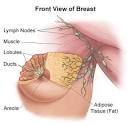 Common Benign Lumps