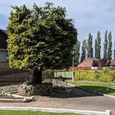 Image result for Crookston Bowling Club