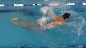 Image result for 1066 Swimmers
