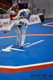 Image result for Taekwondo Athletes Program USA