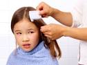 Lice are a pain,
