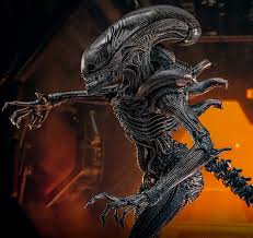 Image result for xenomorph
