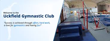 Image result for Ruxley Gymnastics Club