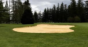 Image result for Bellingham Golf Club